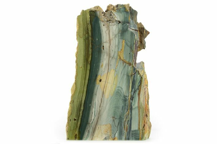 Free-Standing, Gary Green Jasper (Larsonite) Bog Wood - Oregon #334844